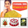 Happy Long Life - Click here to View more details about this Product